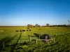 Lot 367 Beaumaris Road, Keppoch, SA 5271-Image