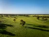 Lot 367 Beaumaris Road, Keppoch, SA 5271-Image