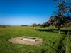 Lot 367 Beaumaris Road, Keppoch, SA 5271-Image