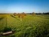 Lot 367 Beaumaris Road, Keppoch, SA 5271-Image