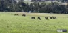 Lot 37 Pinjarra-Williams Road, Williams, WA 6391-Image