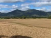 Lot 4 Primroses Road, Finch Hatton, Qld 4756