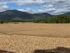 Lot 4 Primroses Road, Finch Hatton, Qld 4756-Image