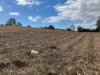 Lot 4 Primroses Road, Finch Hatton, Qld 4756-Image