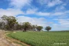Lot 4031 Jackadine Farm, Pingelly, WA 6308-Image