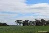 Lot 4031 Jackadine Farm, Pingelly, WA 6308-Image