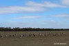 Lot 4031 Jackadine Farm, Pingelly, WA 6308-Image