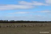 Lot 4031 Jackadine Farm, Pingelly, WA 6308-Image