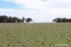 Lot 4031 Jackadine Farm, Pingelly, WA 6308-Image