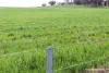 Lot 4031 Jackadine Farm, Pingelly, WA 6308-Image