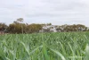 Lot 4031 Jackadine Farm, Pingelly, WA 6308-Image