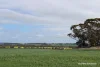 Lot 4031 Jackadine Farm, Pingelly, WA 6308-Image