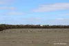 Lot 4031 Jackadine Farm, Pingelly, WA 6308-Image