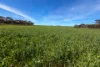 Lot 44 Birdseye Highway, Murlong, SA 5642