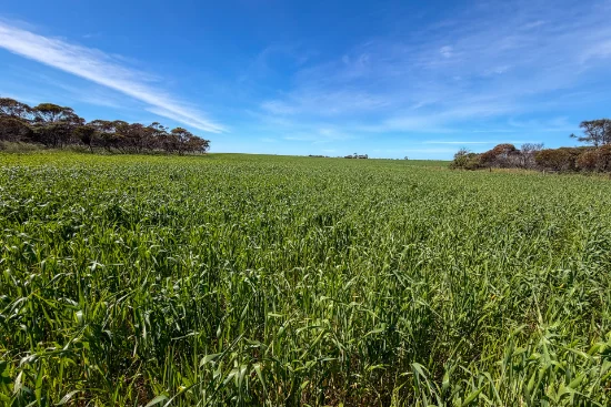 Lot 44 Birdseye Highway, Murlong, SA 5642