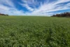 Lot 44 Birdseye Highway, Murlong, SA 5642-Image
