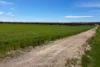 Lot 44 Birdseye Highway, Murlong, SA 5642-Image