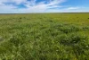 Lot 44 Birdseye Highway, Murlong, SA 5642-Image