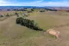 Lot 5 Roseberry Road, Taralga, NSW 2580