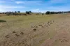 Lot 5 Roseberry Road, Taralga, NSW 2580-Image