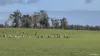 Lot 5 Sandalwood Road, Darkan, WA 6392-Image
