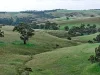 Lot 6 Wiles Firetrack, Wistow, SA 5251-Image