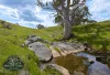 Lot 6 Wiles Firetrack, Wistow, SA 5251-Image