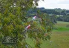 Lot 6 Wiles Firetrack, Wistow, SA 5251-Image