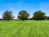 Lot 68 Penniment Road, Bordertown, SA 5268