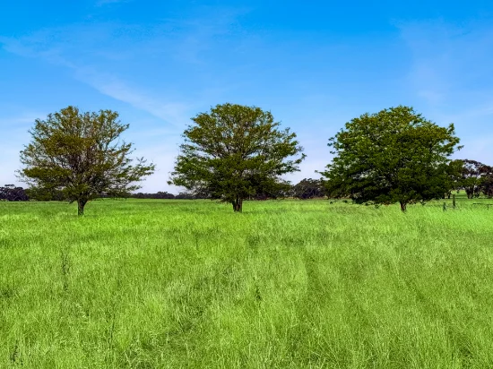 Lot 68 Penniment Road, Bordertown, SA 5268