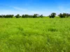 Lot 68 Penniment Road, Bordertown, SA 5268-Image