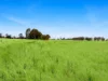 Lot 68 Penniment Road, Bordertown, SA 5268-Image