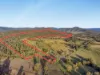 Lot 801, Kerry QLD 4285-Image