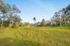 Lot 801, Kerry QLD 4285-Image