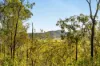 Lot 801, Kerry QLD 4285-Image