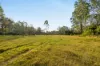 Lot 801, Kerry QLD 4285-Image