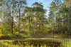Lot 801, Kerry QLD 4285-Image