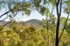 Lot 801, Kerry QLD 4285-Image
