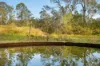 Lot 801, Kerry QLD 4285-Image
