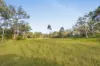 Lot 801 Kerry Road, Kerry, Qld 4285-Image