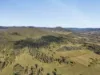 Lot 801 Kerry Road, Kerry, Qld 4285-Image