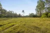 Lot 801 Kerry Road, Kerry, Qld 4285-Image