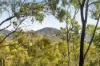 Lot 801 Kerry Road, Kerry, Qld 4285-Image