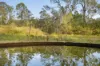 Lot 801 Kerry Road, Kerry, Qld 4285-Image