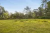 Lot 801 Kerry Road, Kerry, Qld 4285-Image