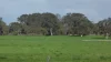 Lot 83 & 89 Walkington HIlls Road, Cadgee, SA 5271
