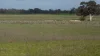 Lot 83 & 89 Walkington HIlls Road, Cadgee, SA 5271-Image