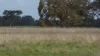 Lot 83 & 89 Walkington HIlls Road, Cadgee, SA 5271-Image