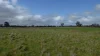 Lot 83 & 89 Walkington HIlls Road, Cadgee, SA 5271-Image