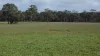 Lot 83 & 89 Walkington HIlls Road, Cadgee, SA 5271-Image